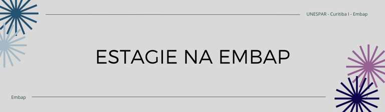 Estagie na Embap