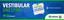 778dda68-7b57-4d2d-9338-cf3aa0baecac.png